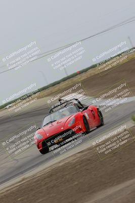 media/Jul-31-2022-Speed Ventures (Sun) [[bfb4b6530b]]/Black Group/Grapevine/